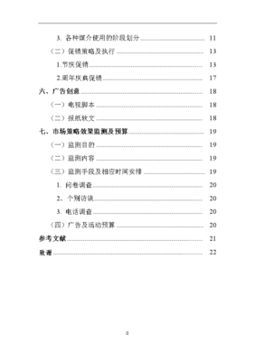 創(chuàng)維彩電廣西市場(chǎng)年度營銷策劃方案