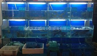 揚州慶亞 從海鮮玻璃魚缸制作到美發(fā)飾品銷售，專業(yè)匠心贏得市場口碑